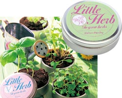 リトルハーブ缶